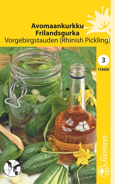 Avomaankurkku Vorgebirkstauden (Rhinish Pickling)