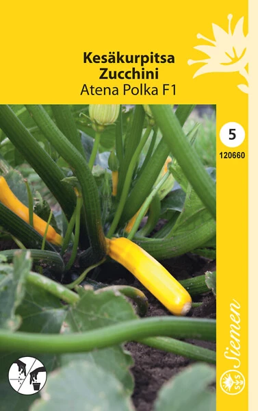 Kesäkurpitsa Atena Polka F1