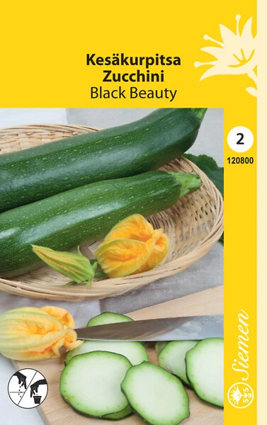 Kesäkurpitsa Black Beauty 