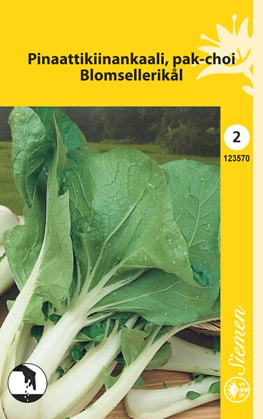 Pinaattikiinankaali vihreä (pak-choi)