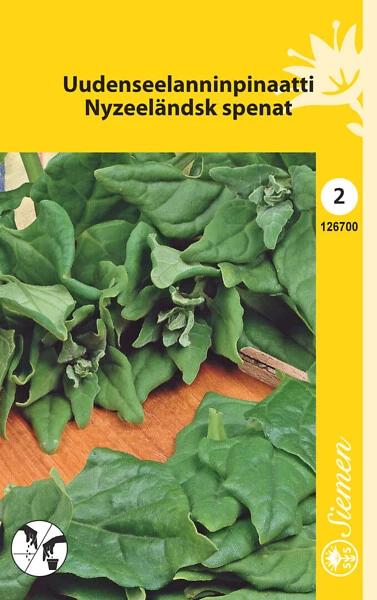 Uudenseelanninpinaatti (lamopinaatti)