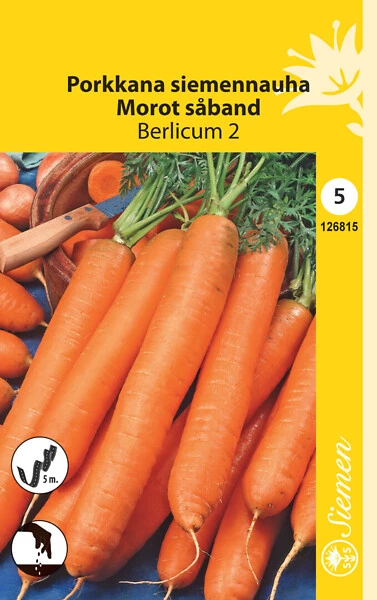 Porkkana Berlicum 2 siemennauha