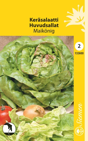 Keräsalaatti Maikönig