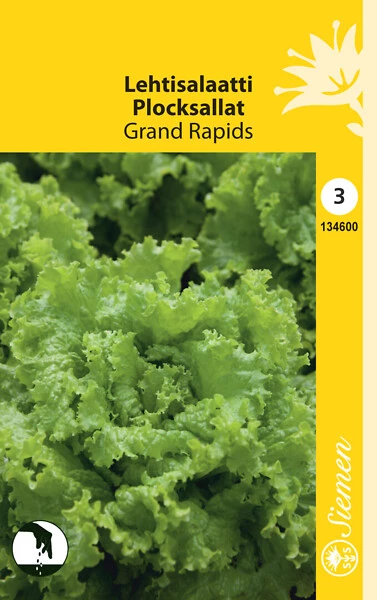 Lehtisalaatti Grand Rapids