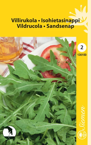 Villirukola (isohietasinappi)