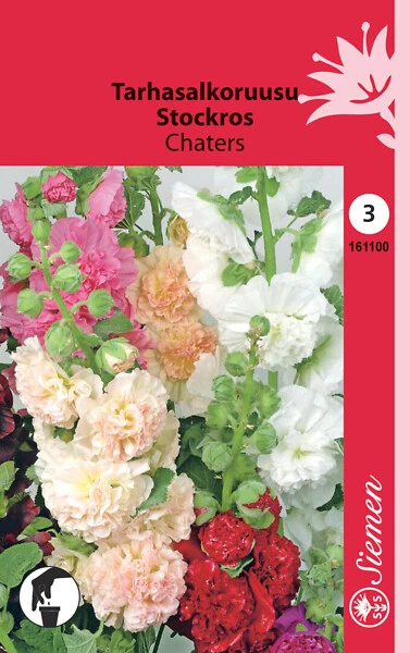 Tarhasalkoruusu Chaters