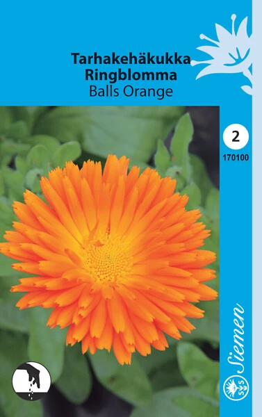 Tarhakehäkukka Balls Orange