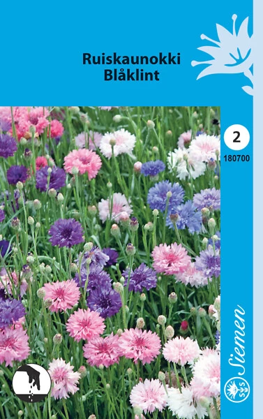 Ruiskaunokki värisekoite