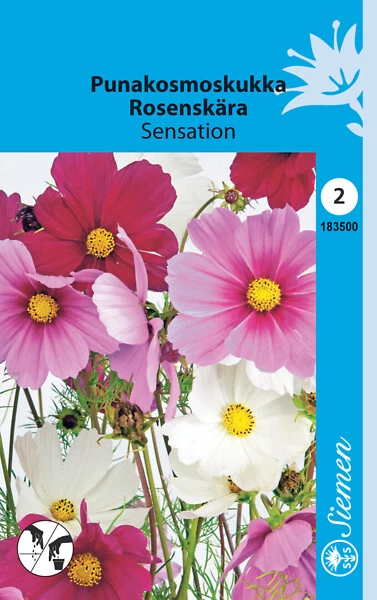 Punakosmos Sensation