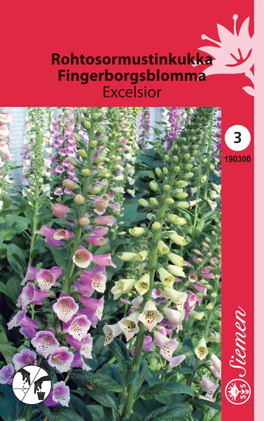 Rohtosormustinkukka Excelsior