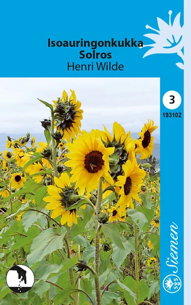 Isoauringonkukka Henri Wilde