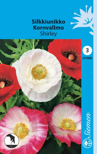 Silkkiunikko Shirley