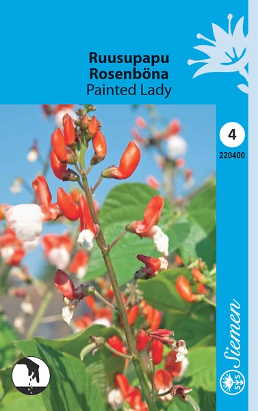 Ruusupapu Painted Lady