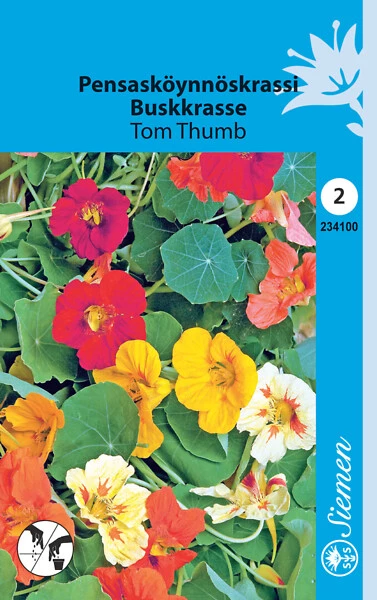 Pensasköynnöskrassi Tom Thumb