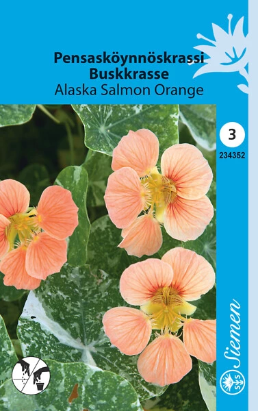 Pensasköynnöskrassi Alaska Salmon