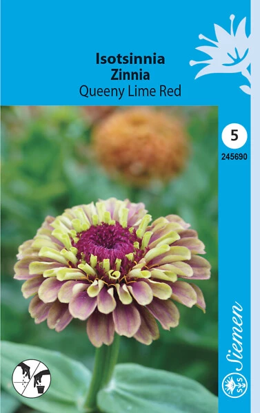 Isotsinnia Queeny Lime Red