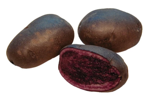 Peruna Blue Kongo 3kg