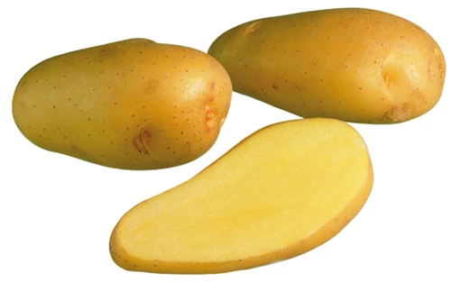 Peruna Siikli 1kg