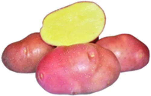 Peruna Bellarosa 3kg