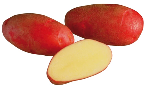 Peruna Rosamunda 5 kg