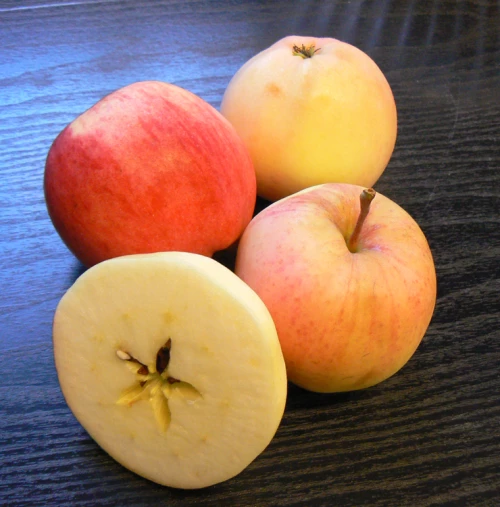 Omenapuu 'Punainen Melba'