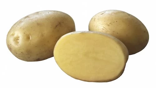 Peruna Acoustic 1 kg